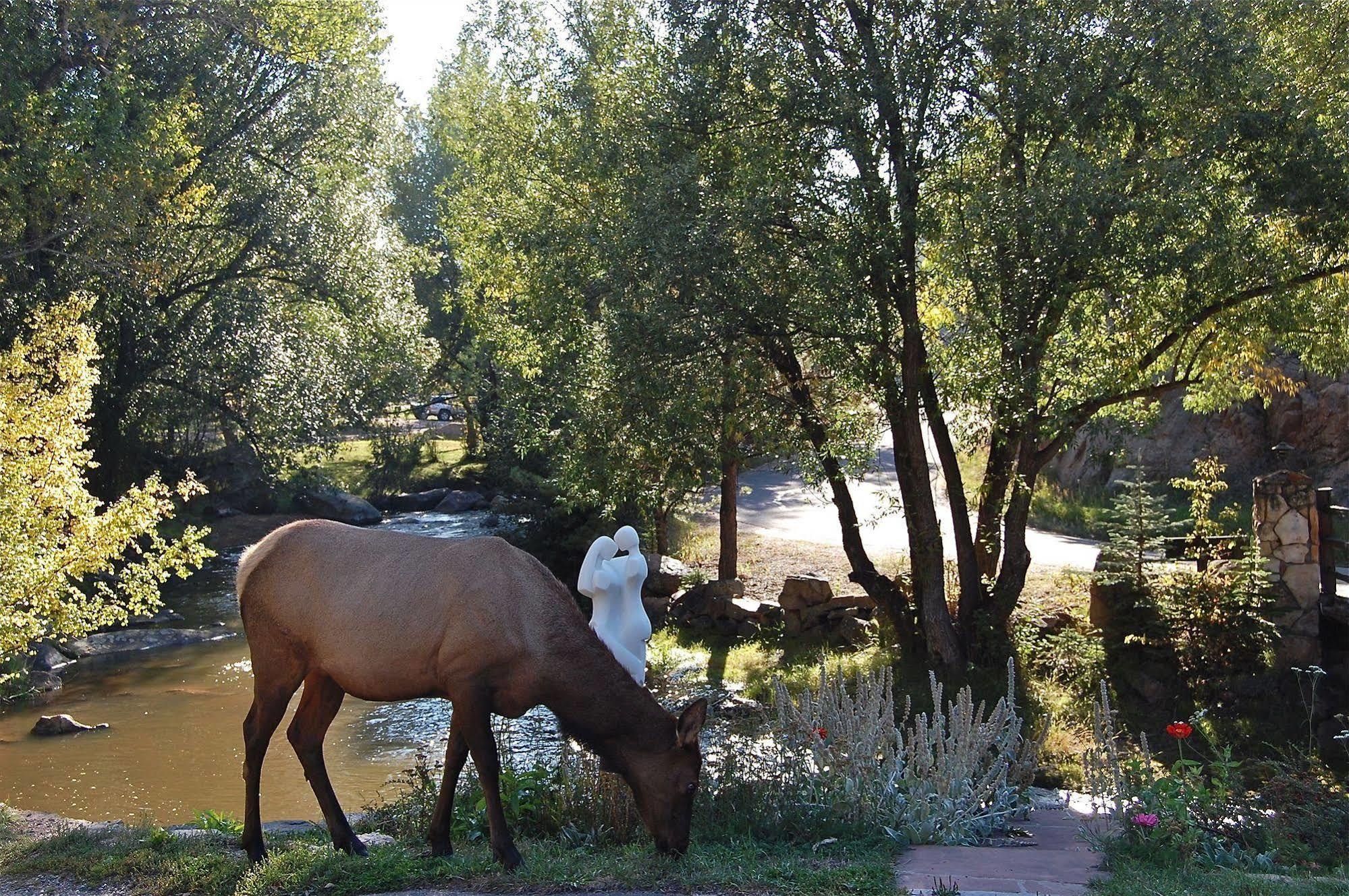 Highland Haven Creekside Inn Evergreen Dış mekan fotoğraf